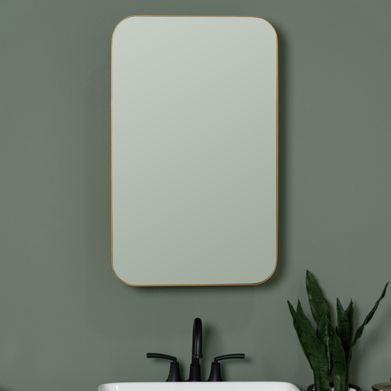 Houston Medicine Cabinet Mirror - Surface or Recess Mount