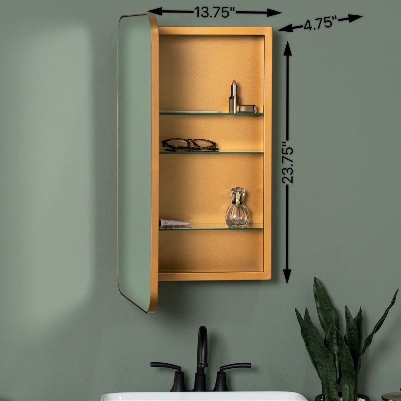 Houston Medicine Cabinet Mirror - Surface or Recess Mount