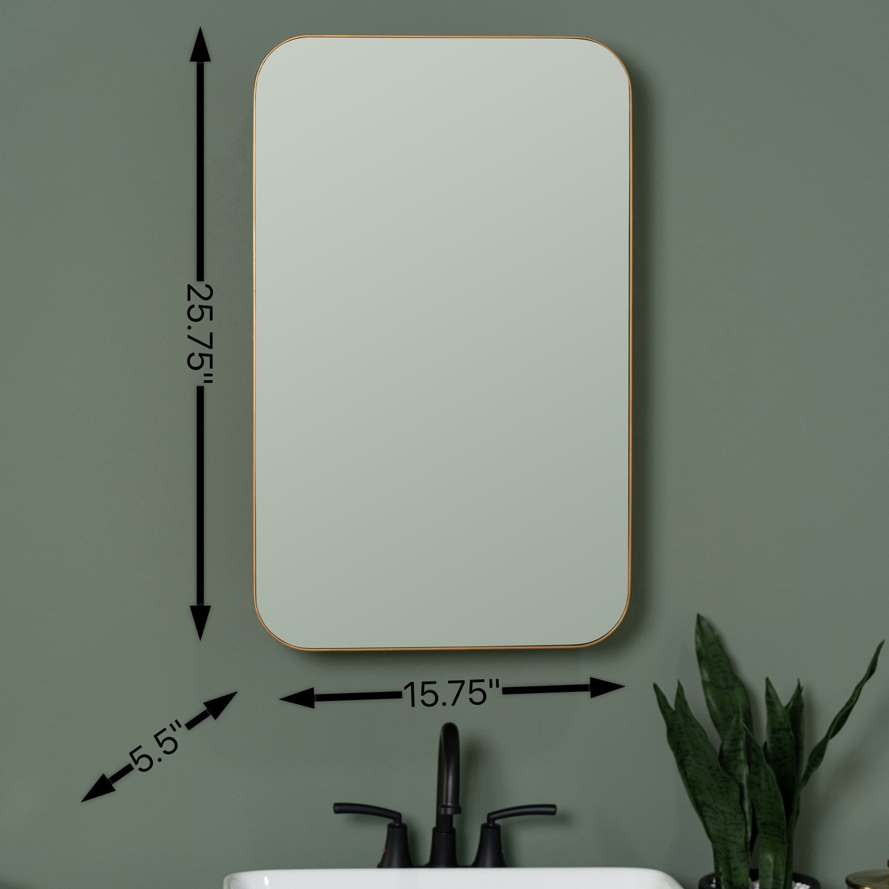 Houston Medicine Cabinet Mirror - Surface or Recess Mount