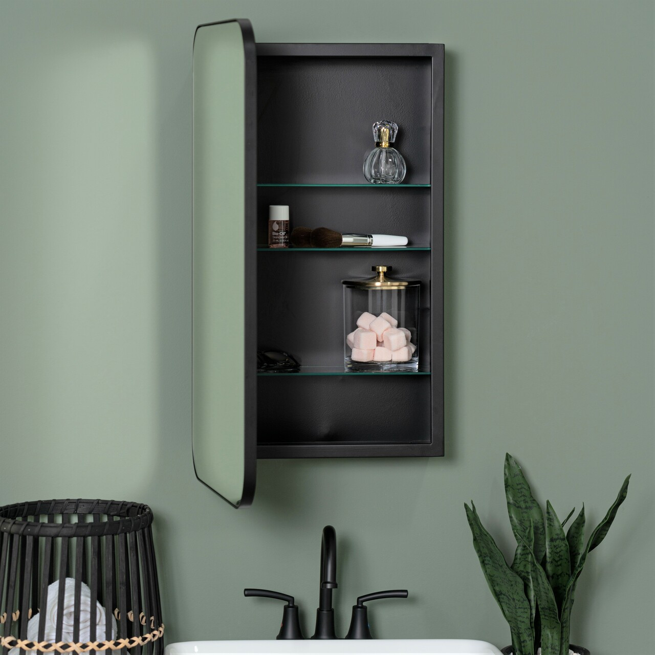 Houston Medicine Cabinet Mirror - Surface or Recess Mount