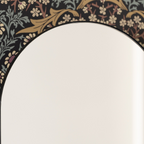 Houston Arched Medicine Cabinet